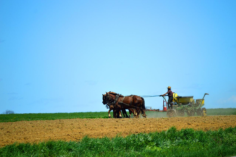 6 Days-Niagara,Toronto,Washington,Amish,Philadelphia and NYC