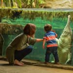 Chester: Biglietto d'ingresso allo zoo di Chester