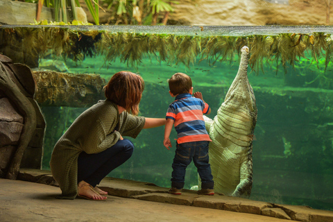 Chester: Chester Zoo toegangsbewijs