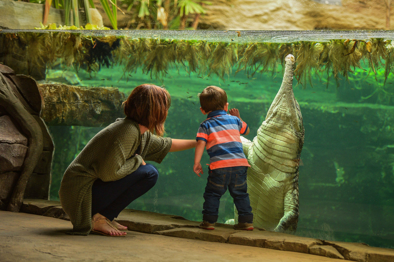 Chester: Bilet wstępu do zoo w Chester