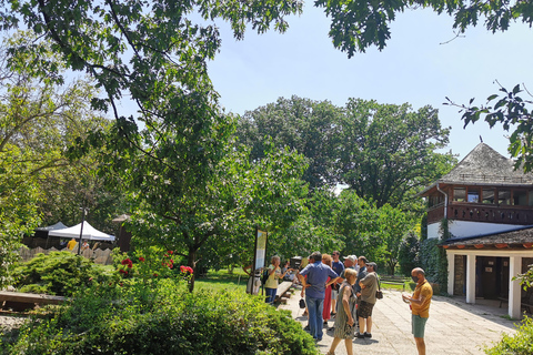 From Craiova: Bucharest Day Tour