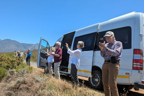 Vanuit Johannesburg: 6-daagse luxe Kruger Park safari