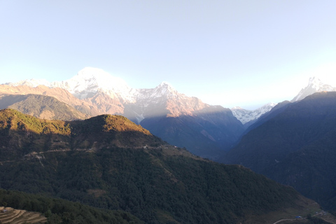 From Pokhara: 3 Night 4 Days Ghandruk Poon Hill Trek