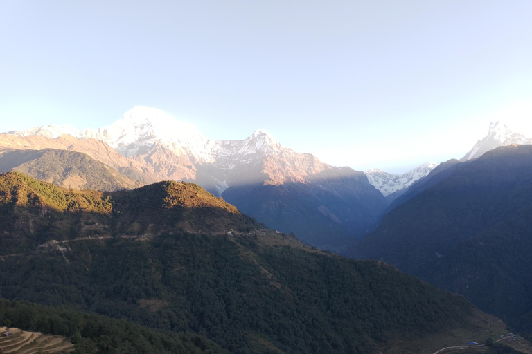 From Pokhara: 3 Night 4 Days Ghandruk Poon Hill Trek