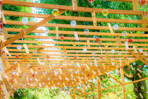 Tokyo Cherry Blossom Tour: Showa Kinen, Rikugien & Asukayama Cherry Blossom Group Tour with Shinjuku Meeting Point