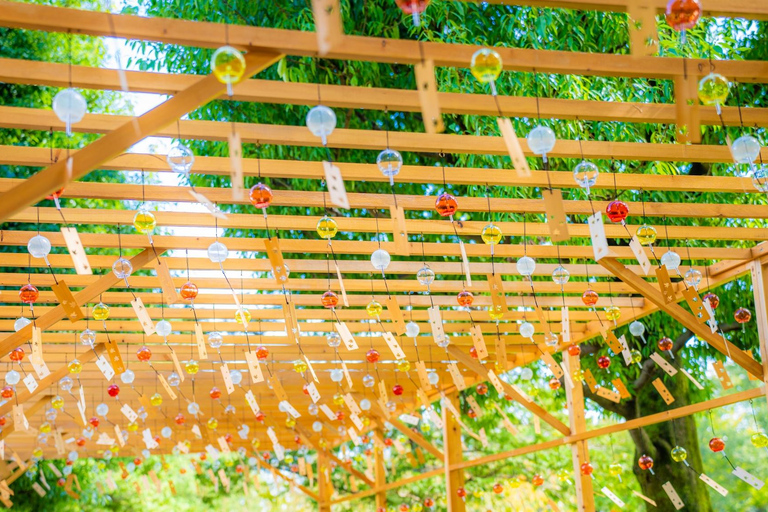 Tokyo Cherry Blossom Tour: Showa Kinen, Rikugien & Asukayama Cherry Blossom Group Tour with Shinjuku Meeting Point