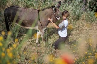 La Pieve: Spaziergang mit Eseln in den Hügeln von Pisa