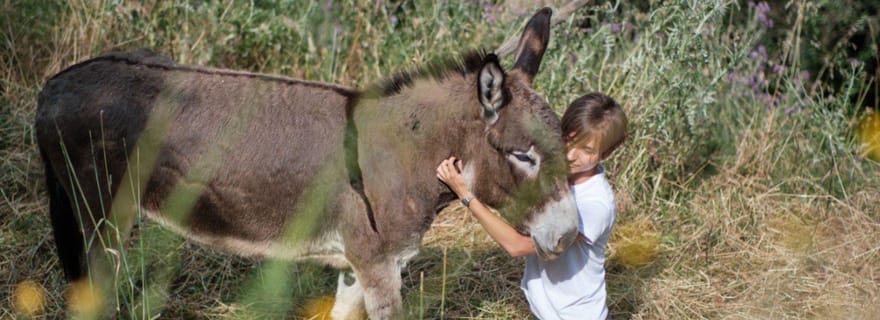 La Pieve : une promenade avec des ânes dans les collines de Pise