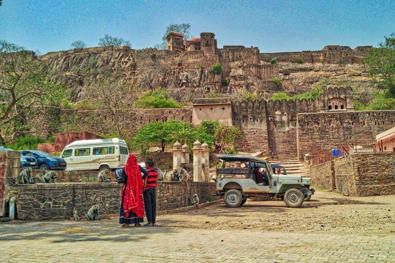 De Delhi: Excursão de 6 dias ao Triângulo Dourado com Safári do TigreTour com carro, guia de turismo, safári de tigre e hotel 3 estrelas