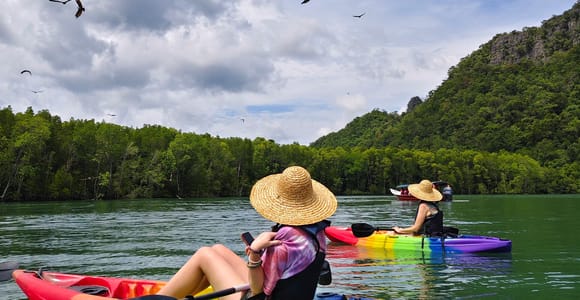 Langkawi: Kilim Geoforest Mangrove Kayak Tour with Lunch