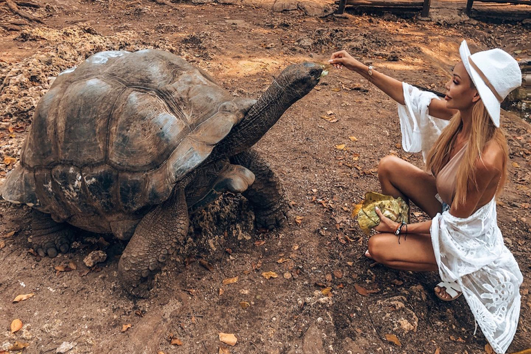Ciudad de piedra y prisión Isla