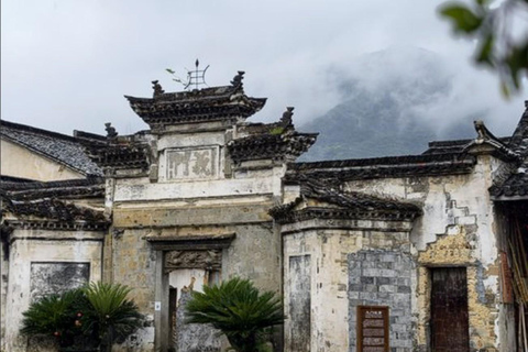 Shanghai: Fuyang Bayberry Picking & Ancient Town Day Trip
