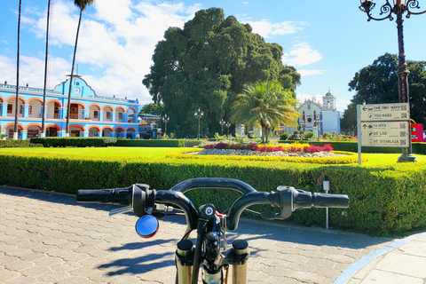 أواكساكا: جولة بالدراجة إلى شجرة التول