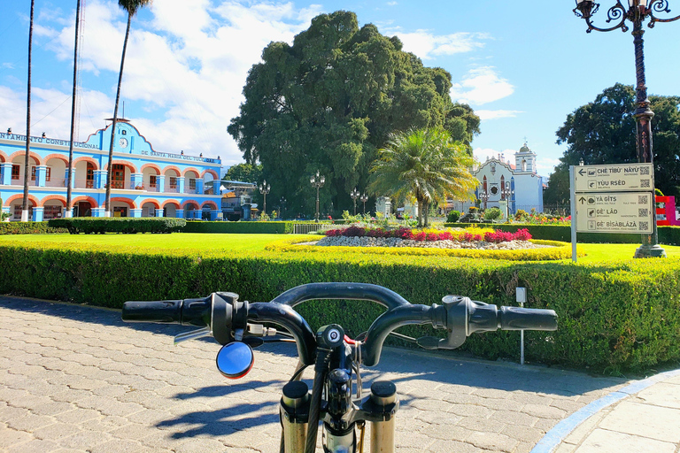 أواكساكا: جولة بالدراجة إلى شجرة التول