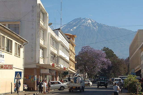 Tanzanie : Circuit privé de 4 jours pour l&#039;ascension du Mont Meru