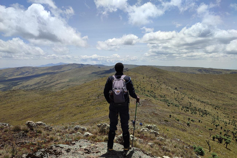 Aberdare Highlands: North to West Trekking Experience