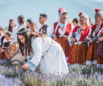 Karlovo: Bilety wstępu bez kolejki na Festiwal Lawendy Karlovo