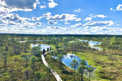 Kemeri N Park, Jurmala, Lake Melnezers & White Castle Hotel
