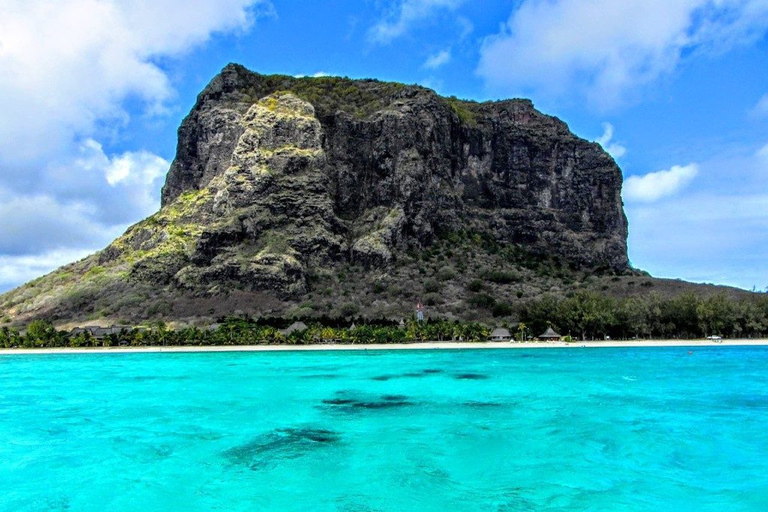 Randonnée au Morne et exploration du Sud-Ouest (avec transport)