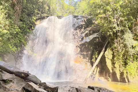 Forêt tropicale de Sinharaja : randonnée aux cascades avec guide local