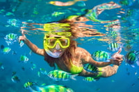 Isla Mujeres, Catamaran Tour with Open Bar & Optional Lunch - Hizvo