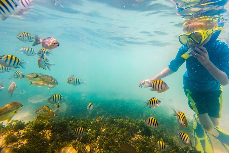 Jaco: Snorkeling Tour with White Sand Beach Visit