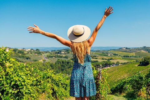 Da Livorno: Pisa con pranzo e degustazione