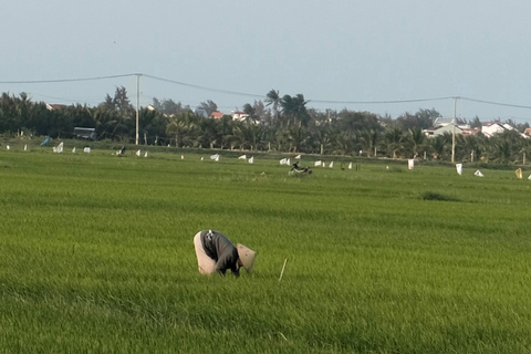 Hoi An Bike Tour: Stress Relief w Buffalo,Duck & Basket Boat E-Car Sightsee Private Tour: Explore the Insider’s Route