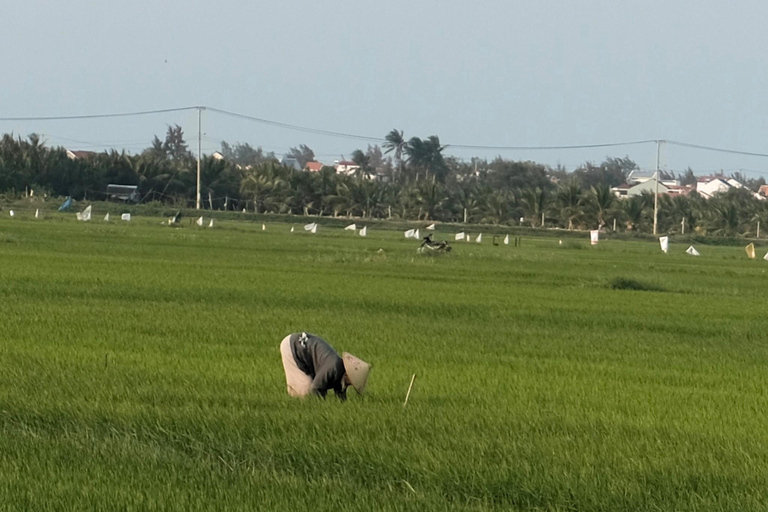 Hoi An Bike Tour: Stress Relief w Buffalo,Duck & Basket Boat E-Car Sightsee Private Tour: Explore the Insider’s Route