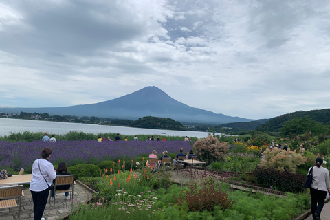 From Tokyo: Mount Fuji Sightseeing Private Group TourToyota Hiace for Up to 9 Persons Private Group Tour