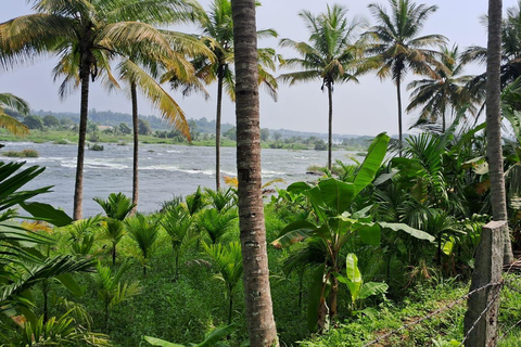 Depuis Bangalore : Excursion d&#039;une journée à Mysore et Srirangapatna avec guide