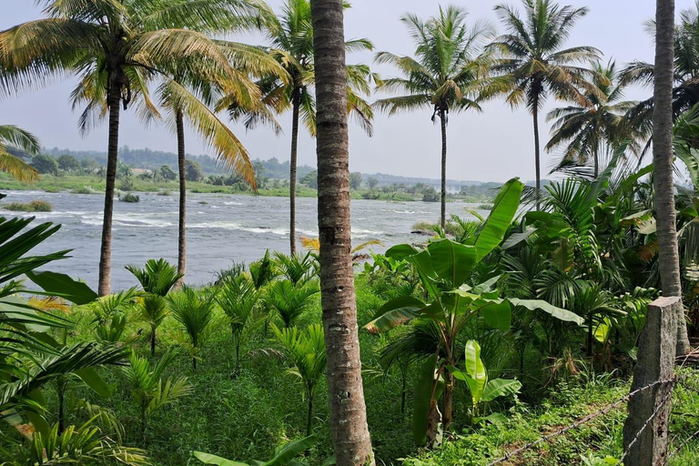 Desde Bangalore Excursión de un día a Mysore y Srirangapatna con guía