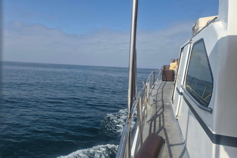 Agadir: Private Luxury Boat Cruise with Swimming & Pickup