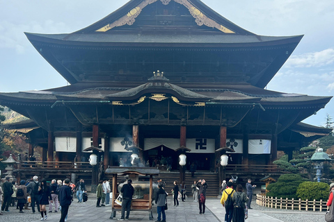 Depuis Tokyo : Excursion d&#039;une journée au parc des singes des neiges de Nagano et au temple Zenkoji