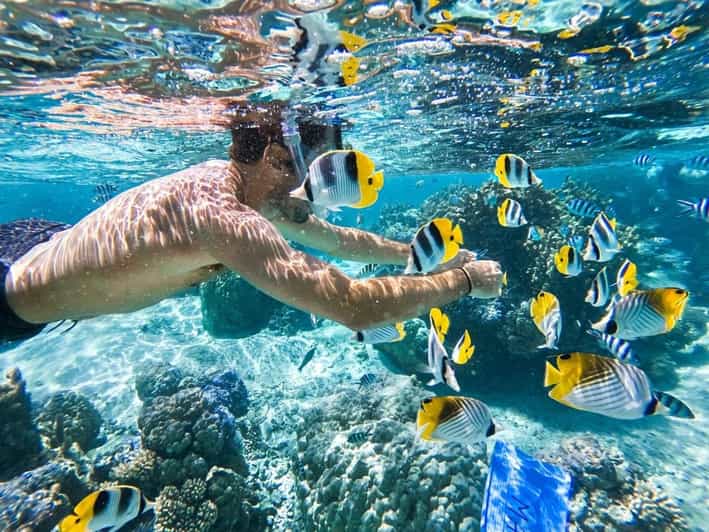 Bali Blue Lagoon Beach Snorkeling With Lunch And Waterfall GetYourGuide bali-blue-lagoon-beach-snorkeling-with-lunch-and-waterfall-getyourguide