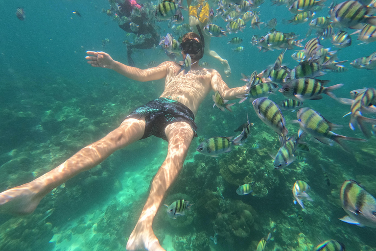 From Khao Lak: Phi Phi, Maya bay & Khai island Day Trip
