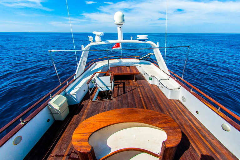 Malta & Gozo Private Yacht Day: Your Exclusive Island Escape