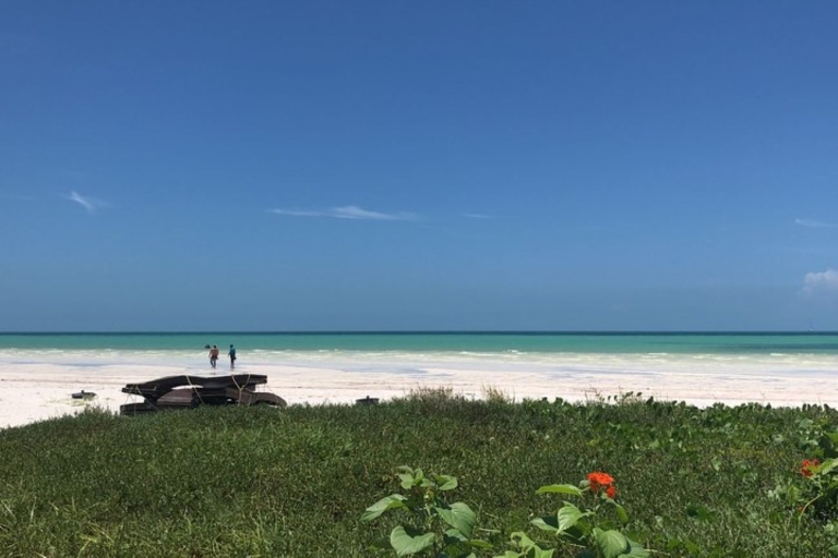Van Holbox: privévervoer naar Cancun