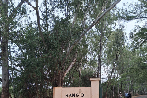 Bondo: Kango ka Jaramogi Heritage Tour with a Guide