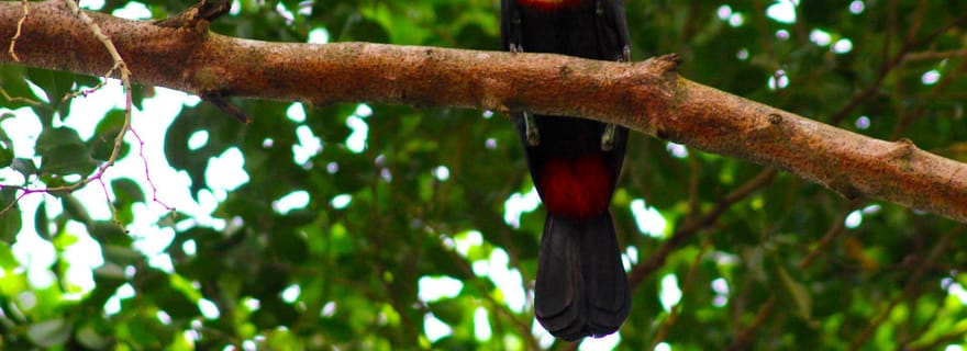 Points forts de l'observation des oiseaux et de la nature sur la route des pipelines