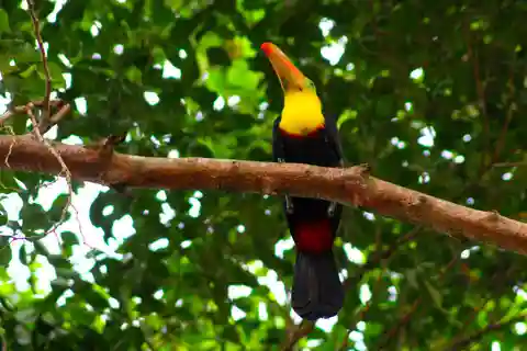 Lo más destacado de la Observación de Aves y la naturaleza en el Camino del Oleoducto