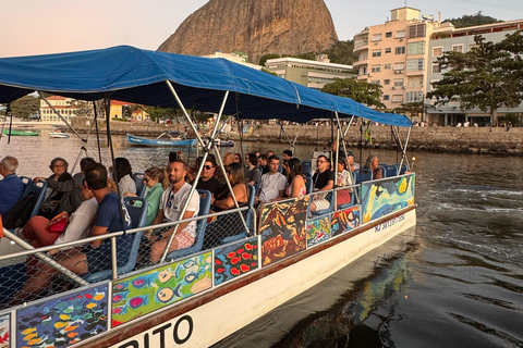 Rio de Janeiro: Catamaran Tour of Guanabara Bay Rio de Janeiro: Catamaran Ride on Guanabara Bay
