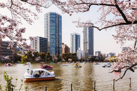 Tokyo: Private City Highlights Tour with Guide