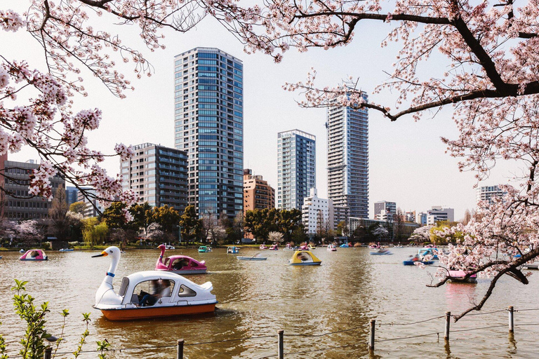 Tokyo: Private City Highlights Tour with Guide