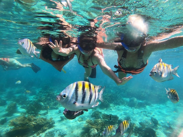 Speed boat & Snorkel, Jungle adventure in Cancun