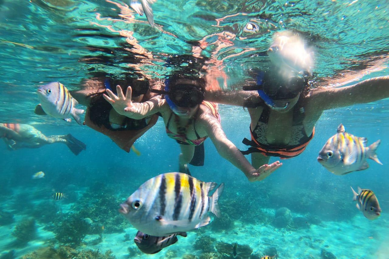 De Cancun: Passeio de catamarã pela Isla Mujeres com almoço e open bar