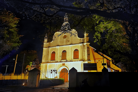 From Cochin Guided Tour of Fort Kochi with Drop at Kumarakom