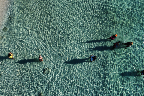 Ibiza: Excursión en velero de día completo a Formentera con remo