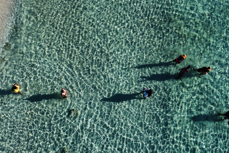 Ibiza: Excursión en velero de día completo a Formentera con remo