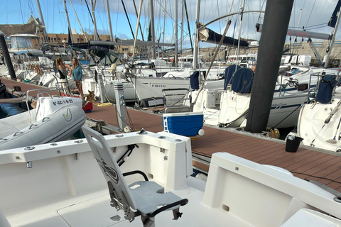 Corralejo: Atlantic Sport Fishing Charter Corralejo: Shared Deep Sea Fishing Charter on the Atlantic